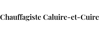 Chauffagiste Caluire-et-Cuire